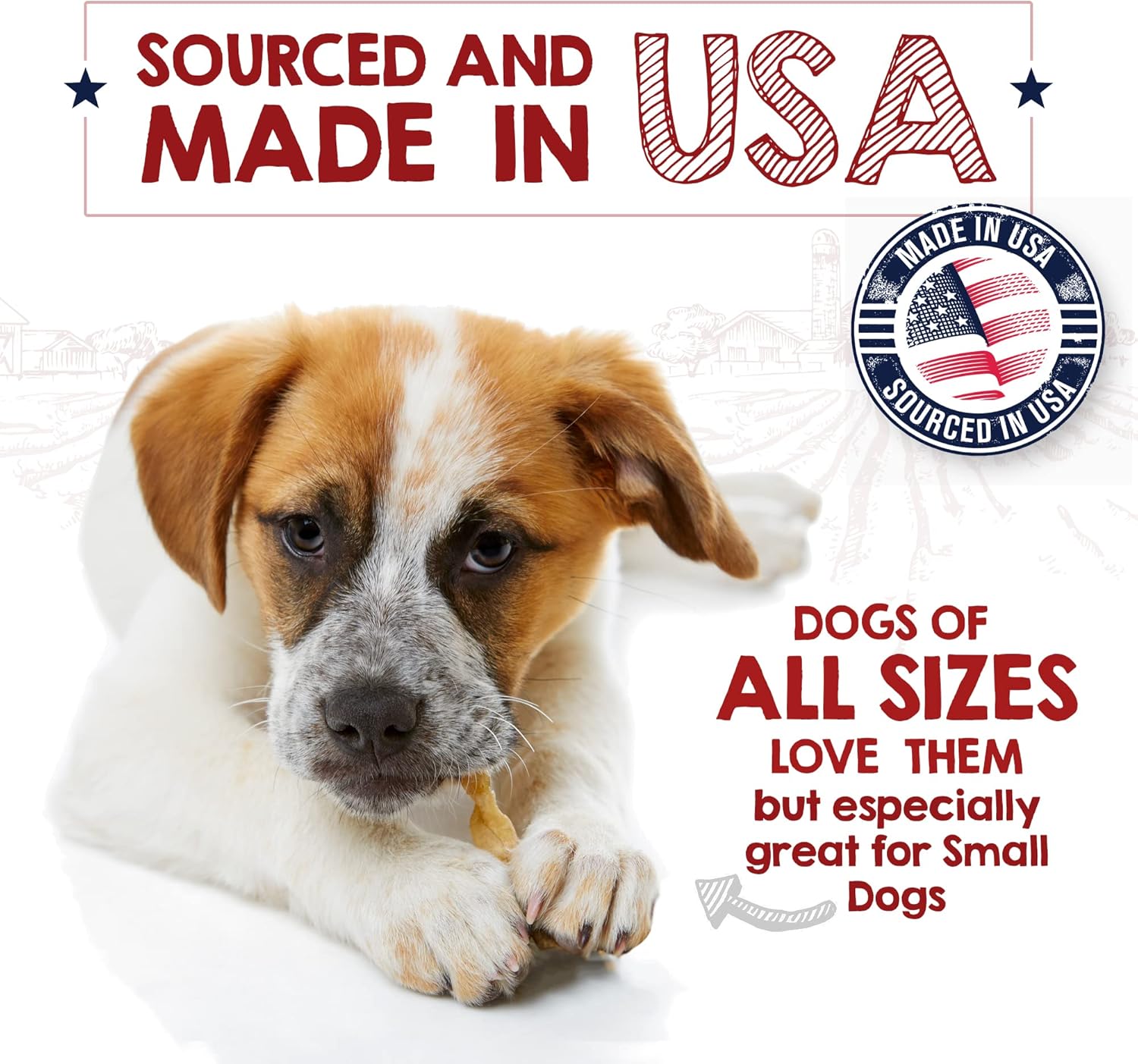 Turkey Tendons for Dogs Made in the USA & Sourced in the USA - Single Ingredient Dog Treats - All Natural Turkey Tendon Chews for Dogs - 4 Oz