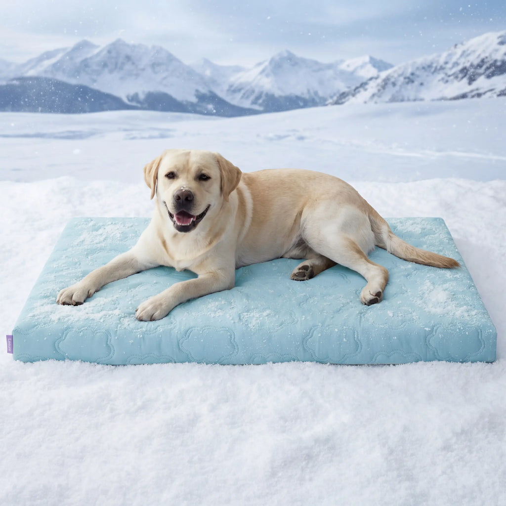 Lesure Cooling Orthopedic Dog Thick Mat – Q-Max>0.5 Cooling Mat with Washable Cover, Egg Crate Foam Non-Slip Bed for Extra Large Dogs