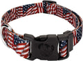 Country Brook Petz 1 Inch Everyday Adjustable Dog Collar for Small, Medium, Large Breeds - Americana Collection with Patriotic Designs (Patriotic Tribute, Medium)