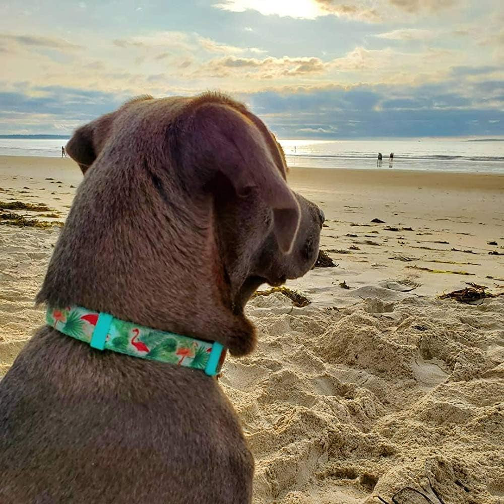 Adjustable Dog Collar, Durable Nylon Collars for Large Female Male Dogs & Puppies, Flamingo Print Cute and Soft